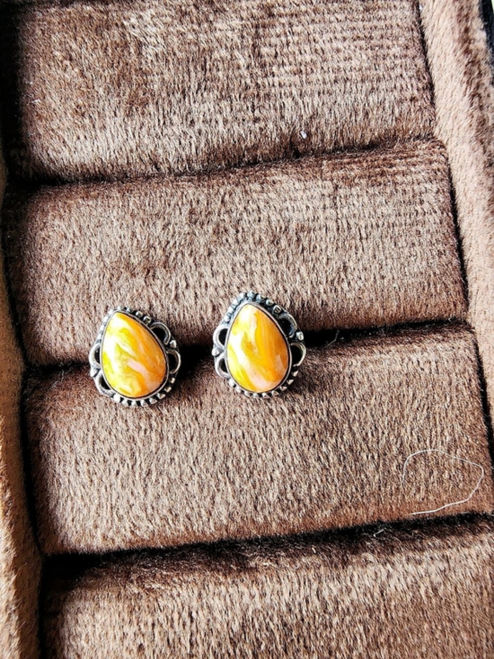 Spiny Oyster Studs